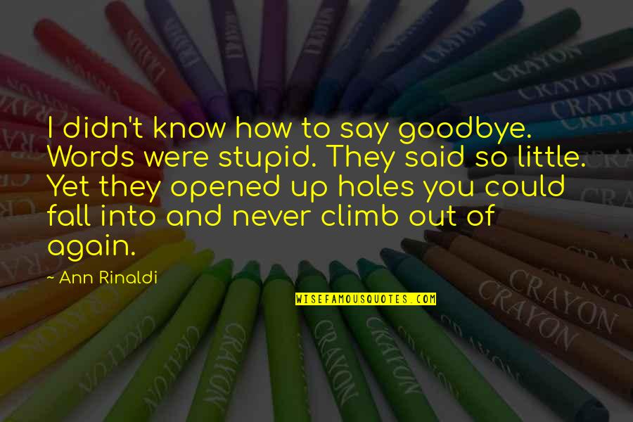 Never Fall Again Quotes By Ann Rinaldi: I didn't know how to say goodbye. Words