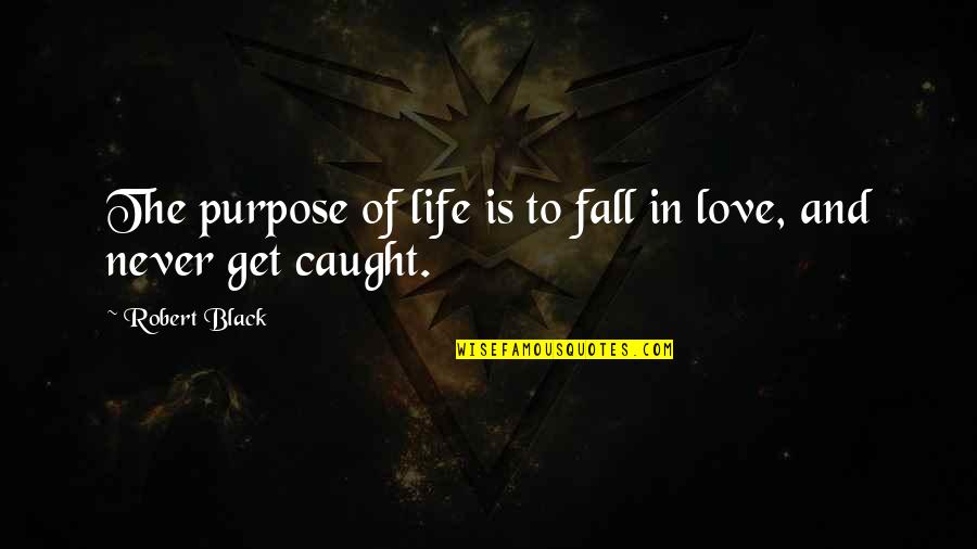 Never Fall In Love Quotes By Robert Black: The purpose of life is to fall in