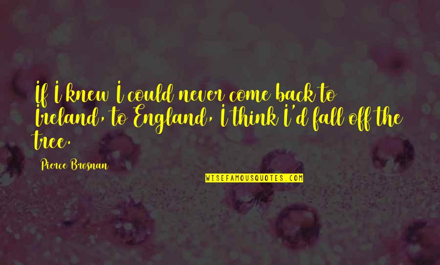Never Fall Off Quotes By Pierce Brosnan: If I knew I could never come back