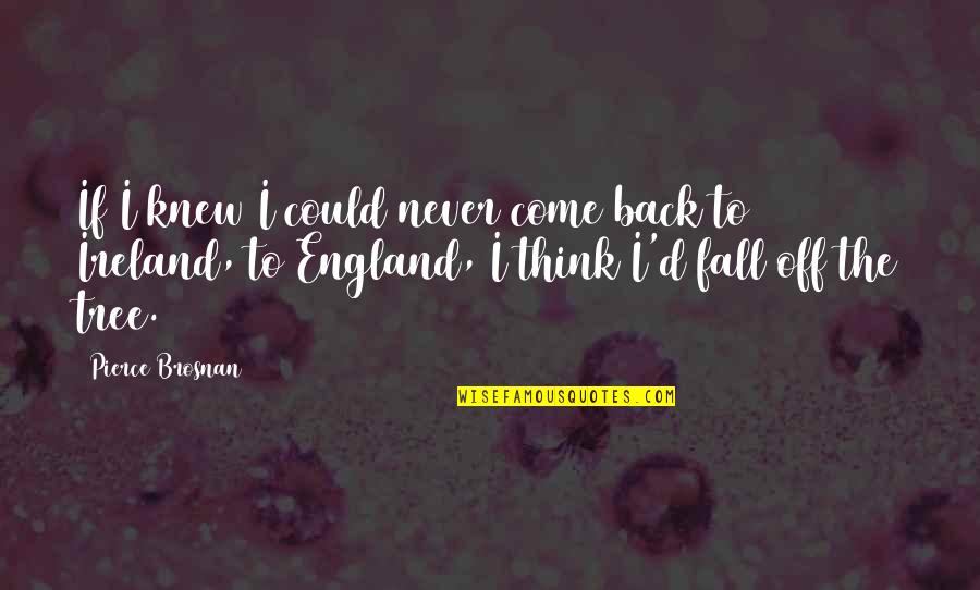 Never Fall Quotes By Pierce Brosnan: If I knew I could never come back
