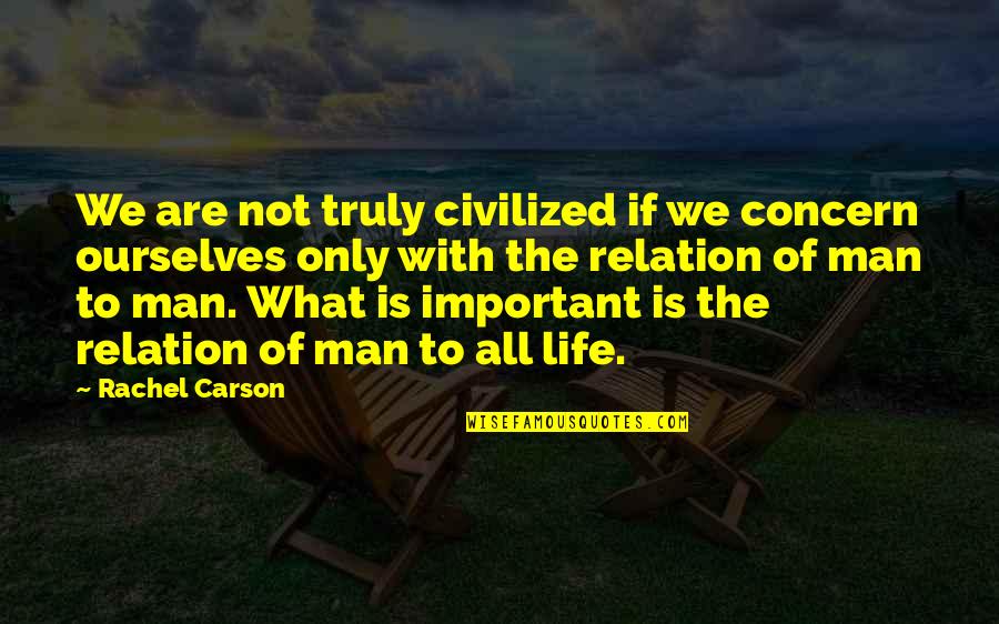 Never Feel The Same Again Quotes By Rachel Carson: We are not truly civilized if we concern