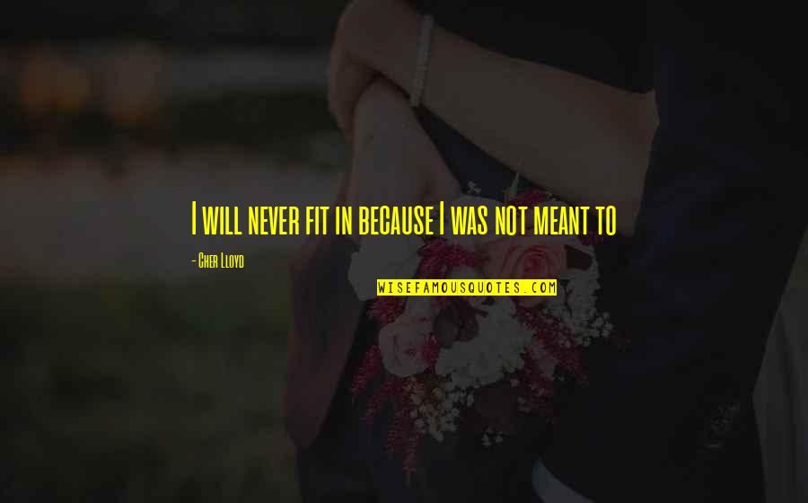 Never Fit In Quotes By Cher Lloyd: I will never fit in because I was