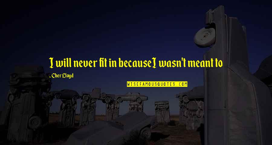 Never Fit In Quotes By Cher Lloyd: I will never fit in becauseI wasn't meant