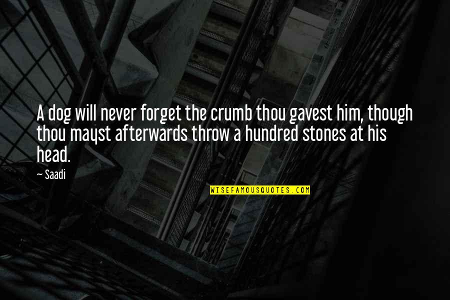 Never Forget Him Quotes By Saadi: A dog will never forget the crumb thou Never Forget Him Quotes By Saadi: A dog will never forget the crumb thou