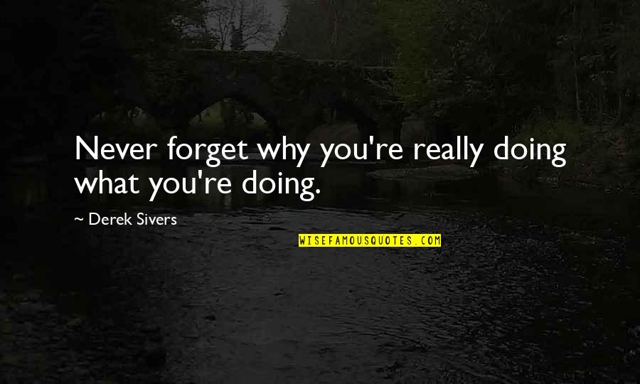 Never Forget What You Are Quotes By Derek Sivers: Never forget why you're really doing what you're