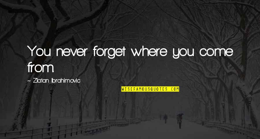 Never Forget Where U Come From Quotes By Zlatan Ibrahimovic: You never forget where you come from. Never Forget Where U Come From Quotes By Zlatan Ibrahimovic: You never forget where you come from.