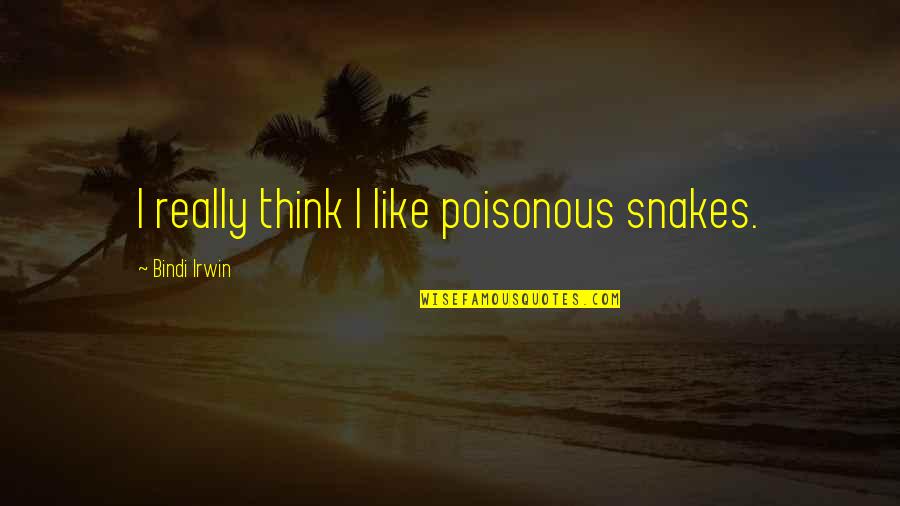 Never Forget Why You Fell In Love Quotes By Bindi Irwin: I really think I like poisonous snakes.