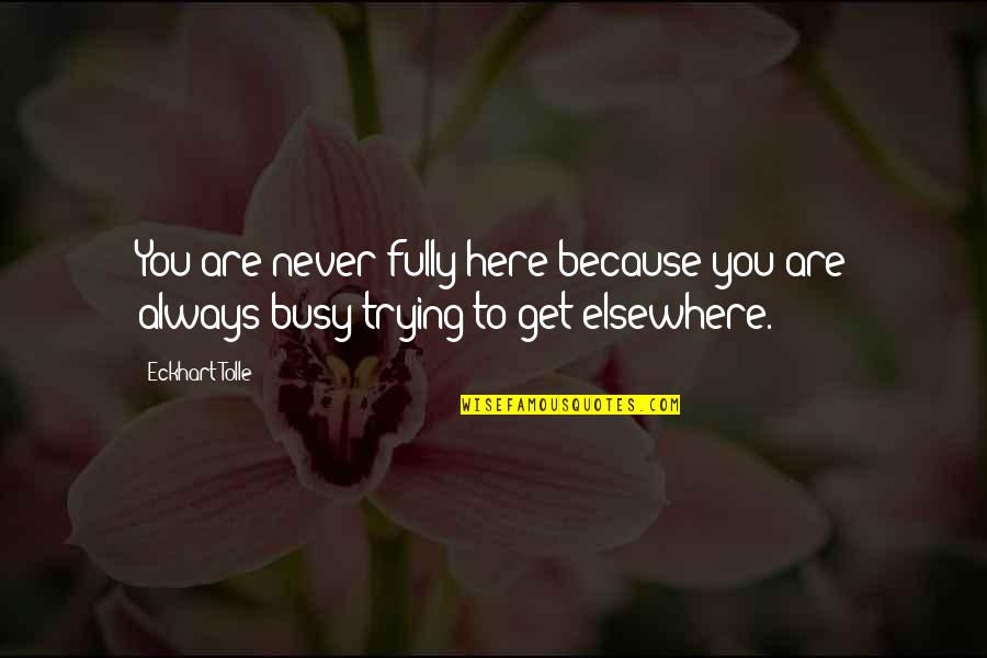 Never Get So Busy Quotes By Eckhart Tolle: You are never fully here because you are