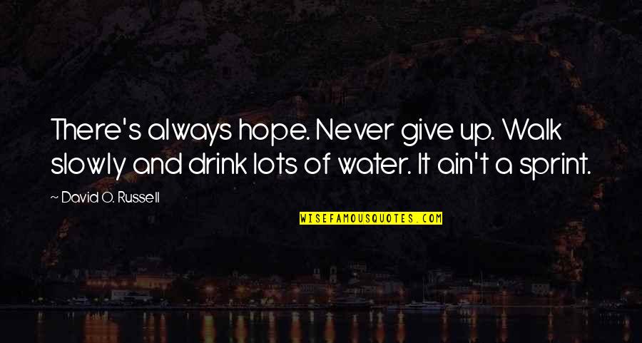 Never Give Up And Quotes By David O. Russell: There's always hope. Never give up. Walk slowly