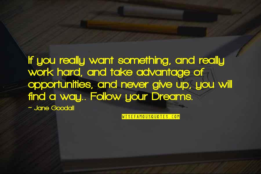 Never Give Up Dreams Quotes By Jane Goodall: If you really want something, and really work