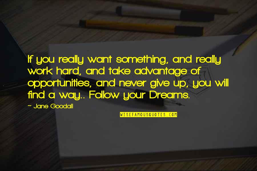 Never Give Up Dreams Quotes By Jane Goodall: If you really want something, and really work Never Give Up Dreams Quotes By Jane Goodall: If you really want something, and really work