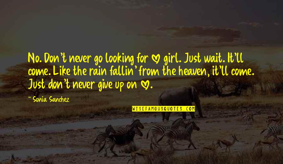 Never Give Up On Love Quotes By Sonia Sanchez: No. Don't never go looking for love girl.