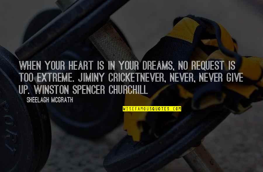 Never Give Up Quotes By Sheelagh McGrath: When your heart is in your dreams, no