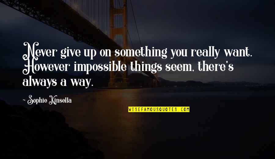 Never Give Up Quotes By Sophie Kinsella: Never give up on something you really want.