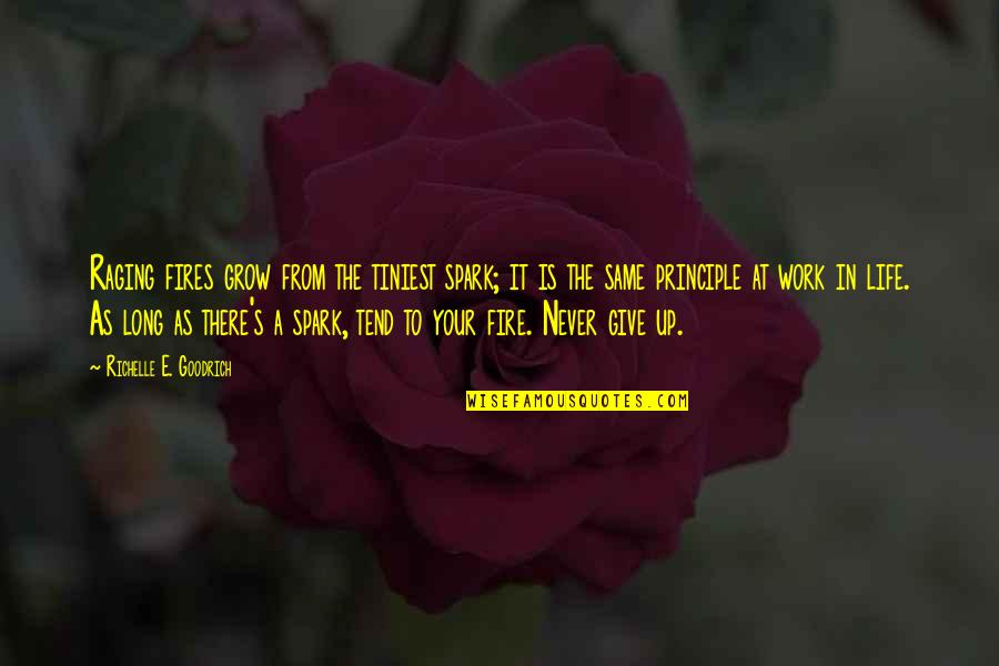 Never Give Up To Your Dreams Quotes By Richelle E. Goodrich: Raging fires grow from the tiniest spark; it Never Give Up To Your Dreams Quotes By Richelle E. Goodrich: Raging fires grow from the tiniest spark; it