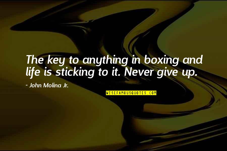 Never Giving Up In Life Quotes By John Molina Jr.: The key to anything in boxing and life