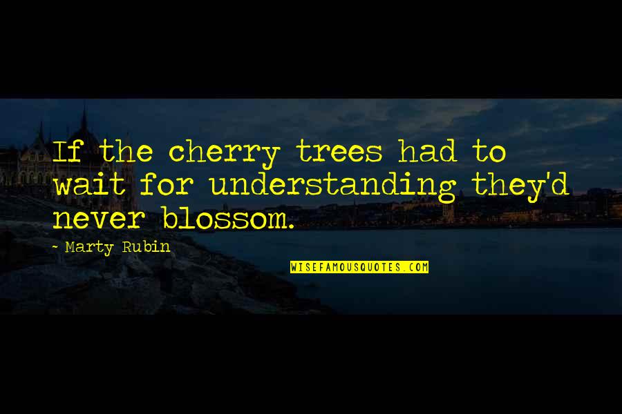 Never Go Down To Their Level Quotes By Marty Rubin: If the cherry trees had to wait for