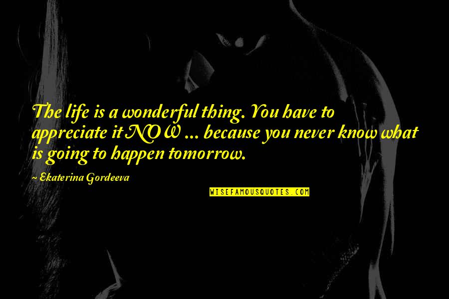 Never Going To Happen Quotes By Ekaterina Gordeeva: The life is a wonderful thing. You have