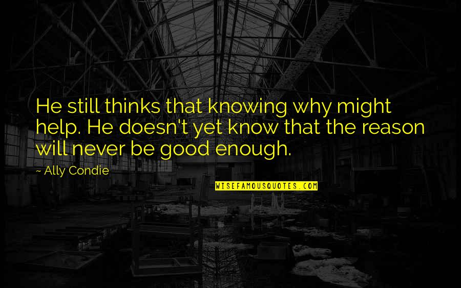 Never Good Enough Quotes By Ally Condie: He still thinks that knowing why might help.