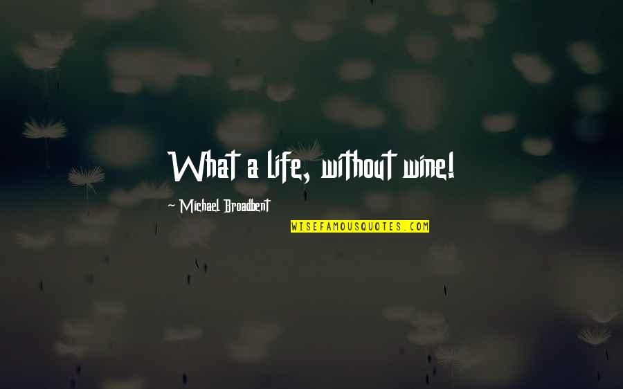 Never Got A Chance To Say Goodbye Quotes By Michael Broadbent: What a life, without wine!