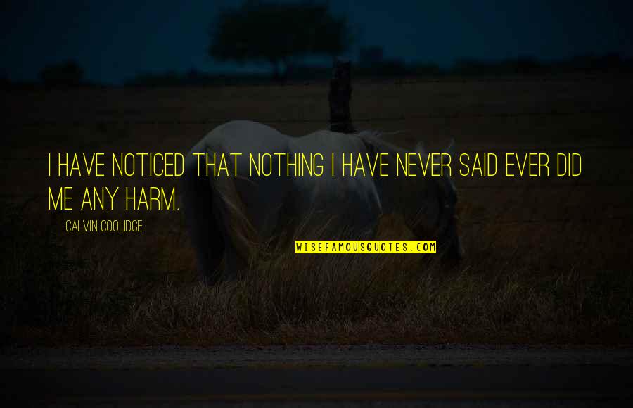 Never Had A Love Like This Quotes By Calvin Coolidge: I have noticed that nothing I have never Never Had A Love Like This Quotes By Calvin Coolidge: I have noticed that nothing I have never