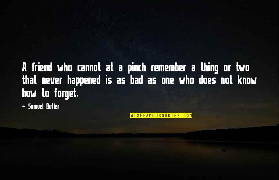 Never Happened Quotes By Samuel Butler: A friend who cannot at a pinch remember Never Happened Quotes By Samuel Butler: A friend who cannot at a pinch remember