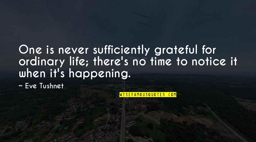 Never Happening Quotes By Eve Tushnet: One is never sufficiently grateful for ordinary life;
