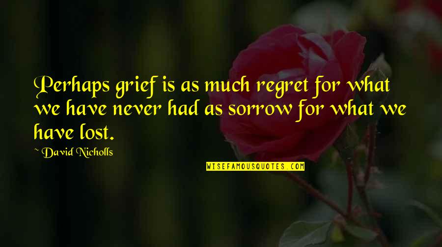 Never Have Regret Quotes By David Nicholls: Perhaps grief is as much regret for what