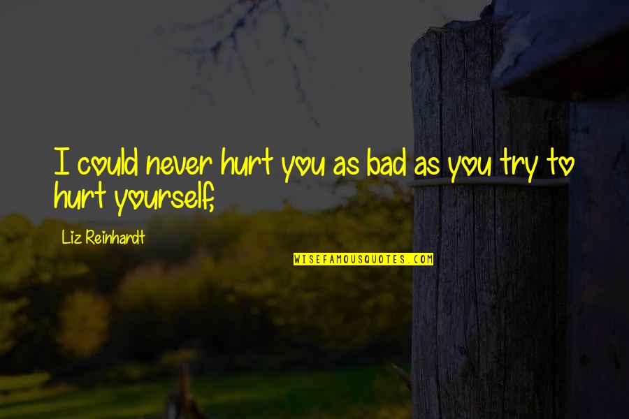 Never Hurt Yourself Quotes By Liz Reinhardt: I could never hurt you as bad as