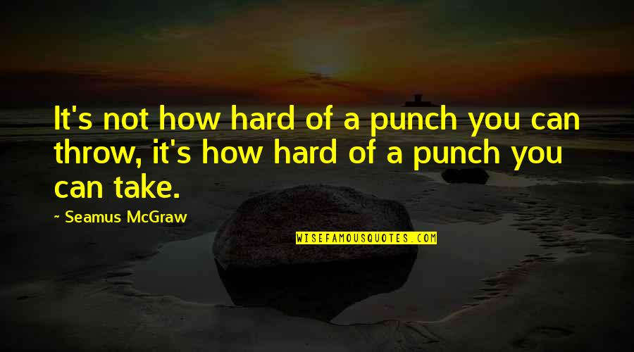 Never Ignore The One Who Loves You Quotes By Seamus McGraw: It's not how hard of a punch you