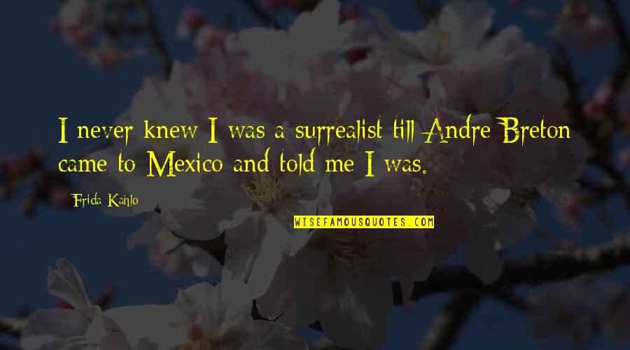 Never Knew Me Quotes By Frida Kahlo: I never knew I was a surrealist till