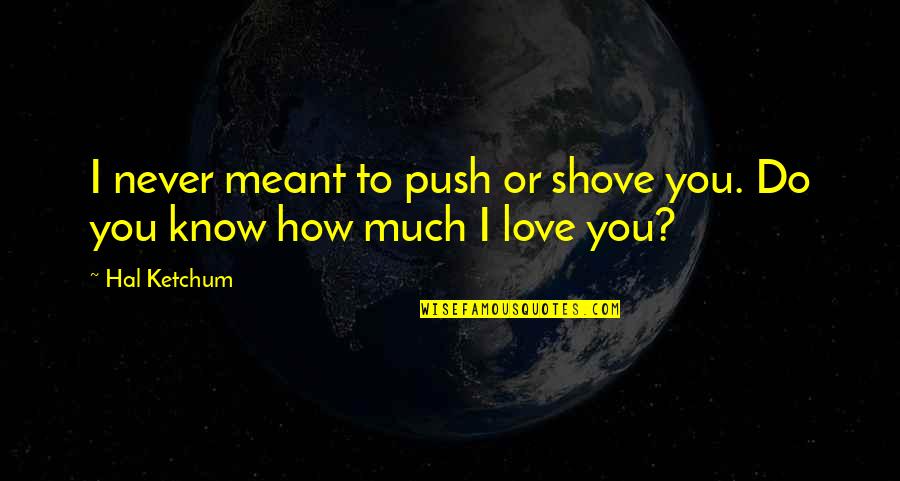 Never Know How Much I Love You Quotes By Hal Ketchum: I never meant to push or shove you.