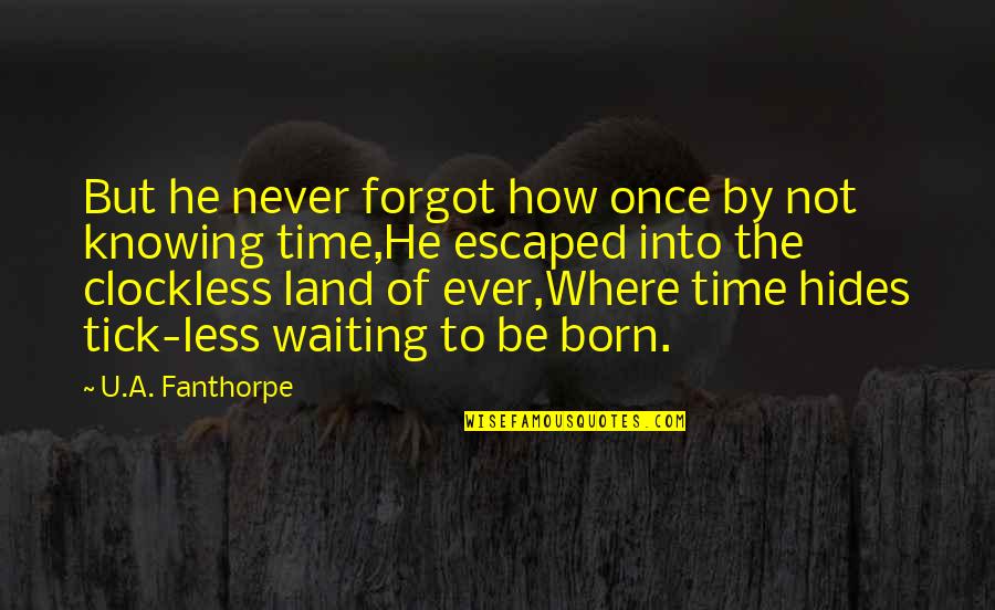 Never Knowing Quotes By U.A. Fanthorpe: But he never forgot how once by not