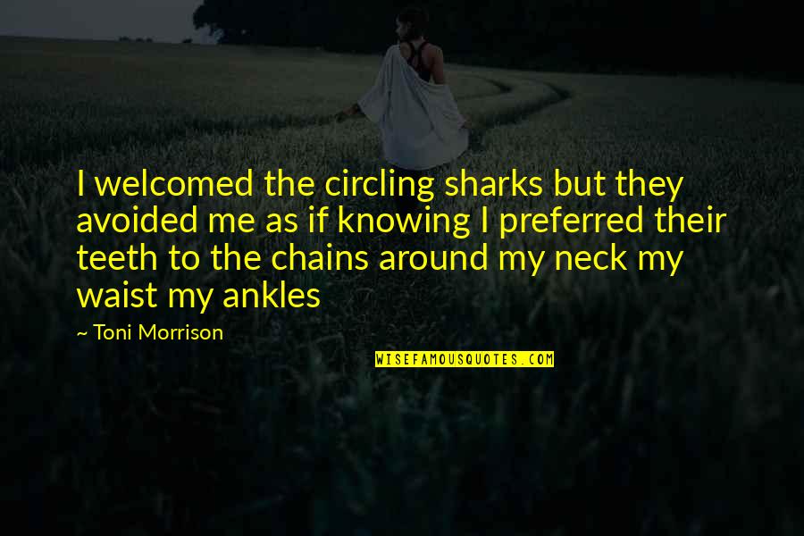 Never Knowing Until You Try Quotes By Toni Morrison: I welcomed the circling sharks but they avoided