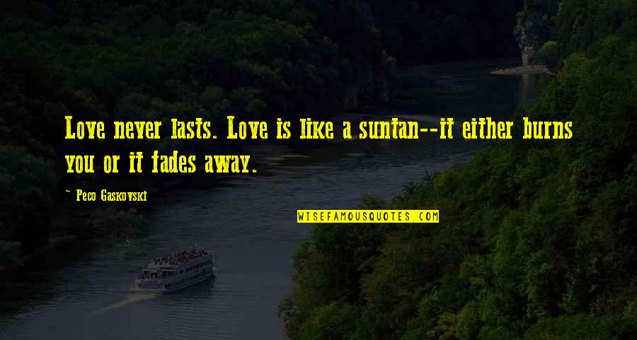 Never Lasts Quotes By Peco Gaskovski: Love never lasts. Love is like a suntan--it