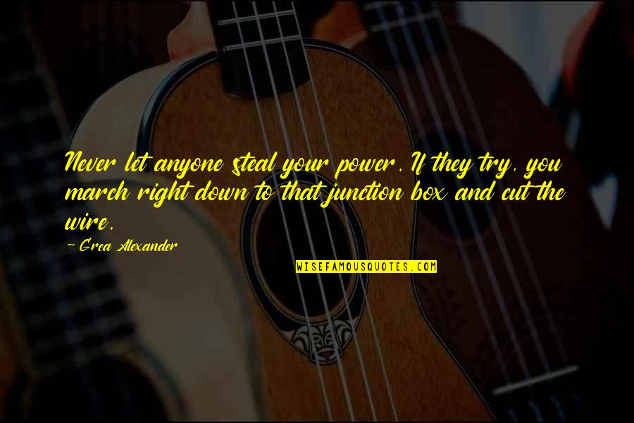 Never Let You Down Quotes By Grea Alexander: Never let anyone steal your power. If they
