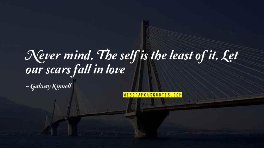 Never Let You Fall Quotes By Galway Kinnell: Never mind. The self is the least of