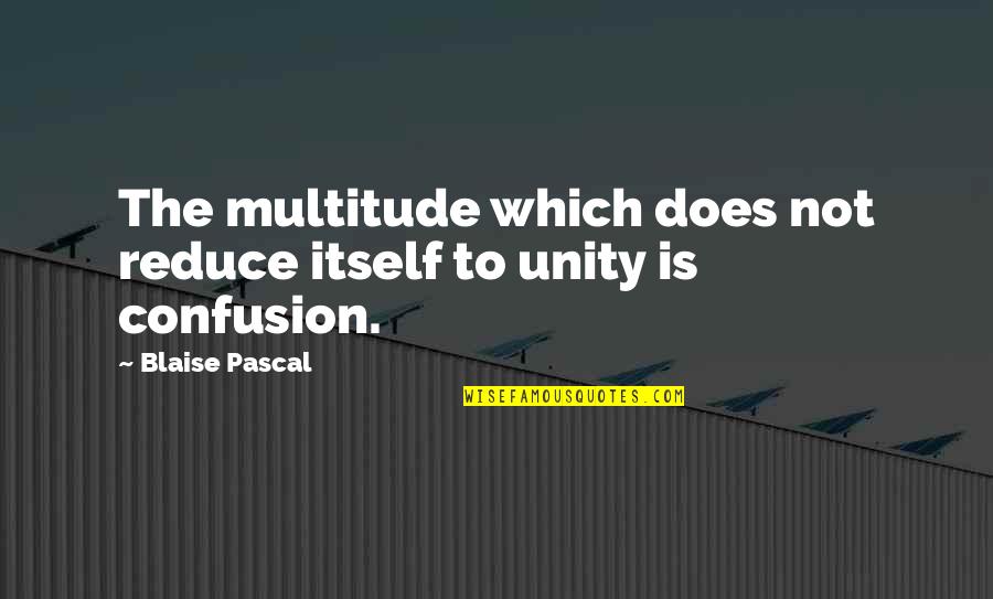 Never Let Your Past Determine Your Future Quotes By Blaise Pascal: The multitude which does not reduce itself to