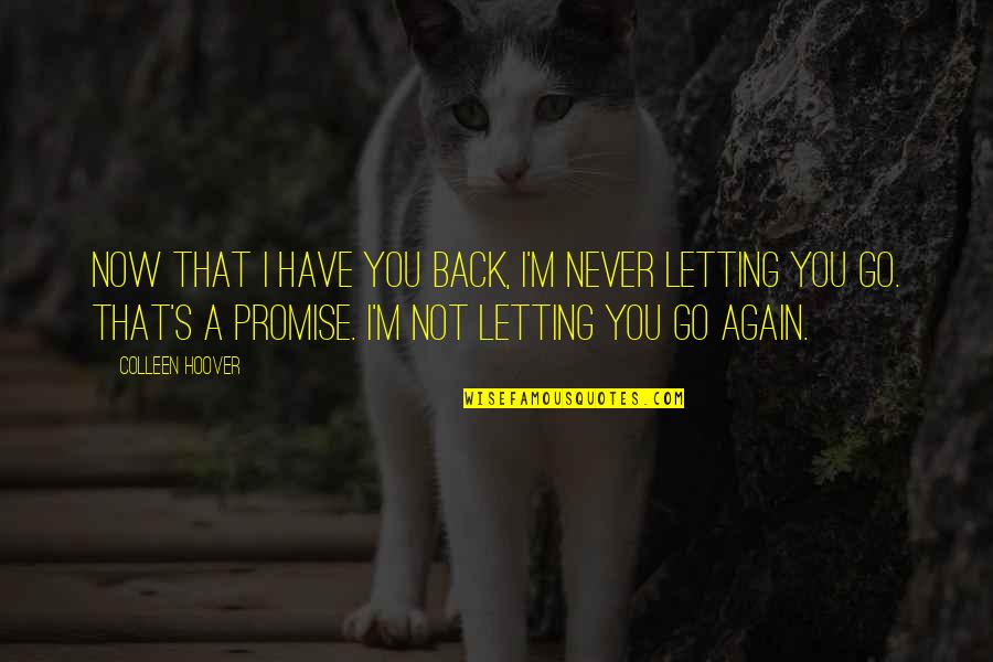 Never Letting Go Quotes By Colleen Hoover: Now that I have you back, I'm never