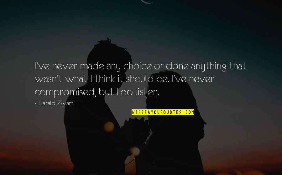 Never Listen Quotes By Harald Zwart: I've never made any choice or done anything