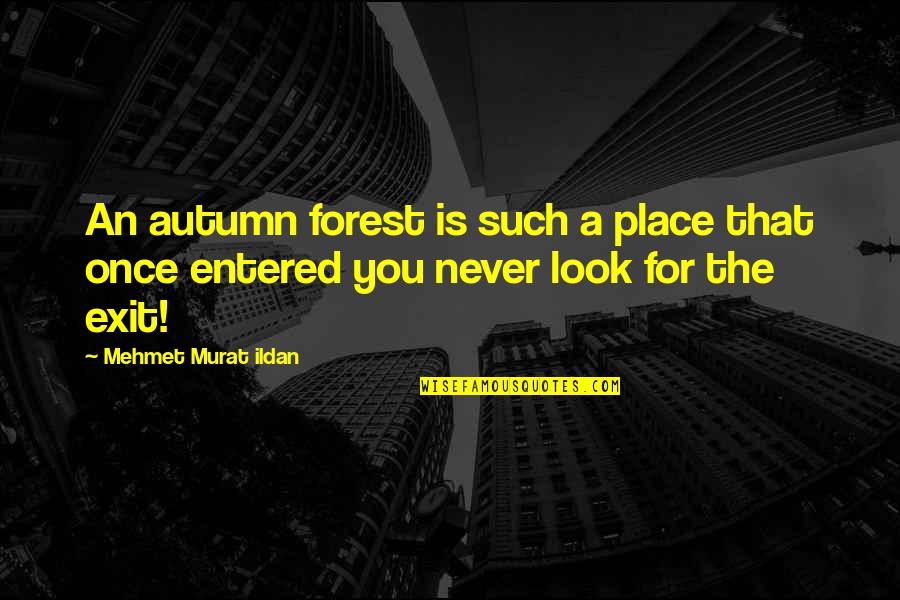 Never Look Quotes By Mehmet Murat Ildan: An autumn forest is such a place that