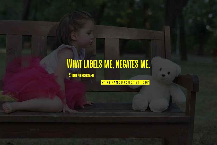 Never Mattered Quotes By Soren Kierkegaard: What labels me, negates me.