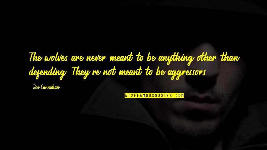 Never Meant Anything Quotes By Joe Carnahan: The wolves are never meant to be anything Never Meant Anything Quotes By Joe Carnahan: The wolves are never meant to be anything