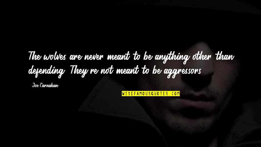 Never Meant Anything To You Quotes By Joe Carnahan: The wolves are never meant to be anything Never Meant Anything To You Quotes By Joe Carnahan: The wolves are never meant to be anything