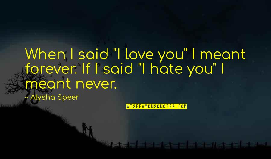 Never Meant Quotes By Alysha Speer: When I said "I love you" I meant