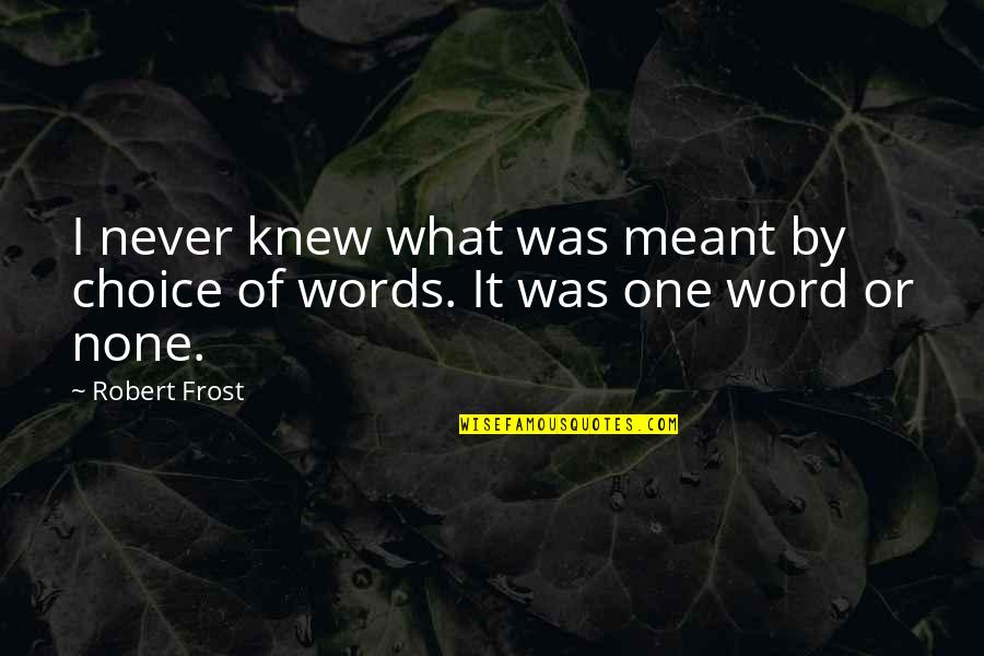 Never Meant Quotes By Robert Frost: I never knew what was meant by choice