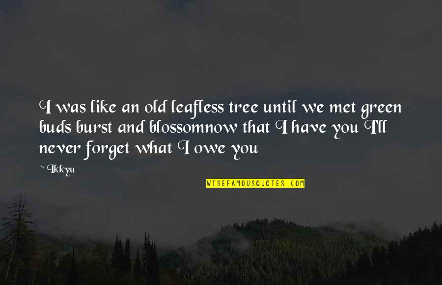 Never Met You But I Like You Quotes By Ikkyu: I was like an old leafless tree until
