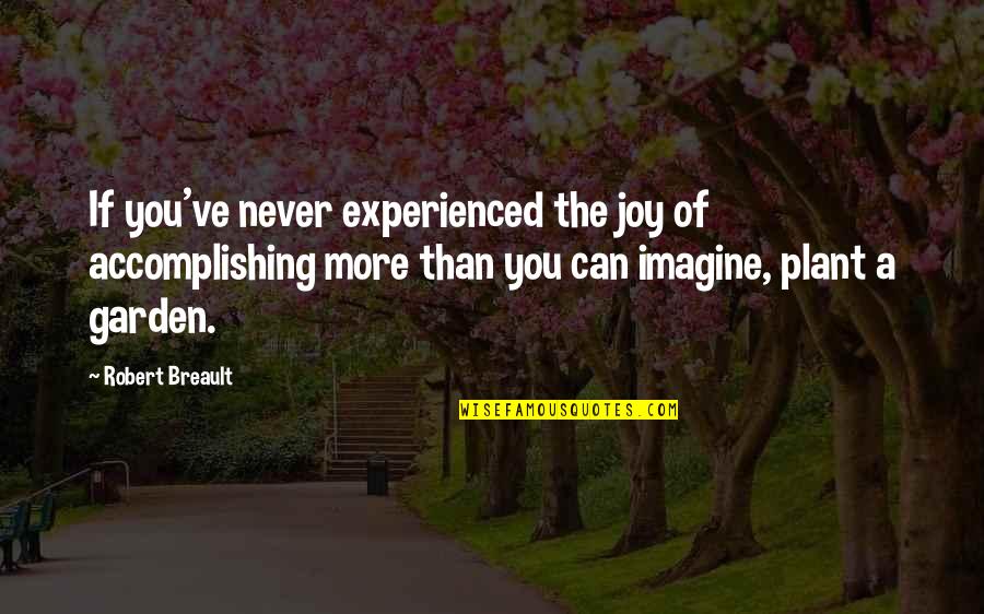 Never More Quotes By Robert Breault: If you've never experienced the joy of accomplishing