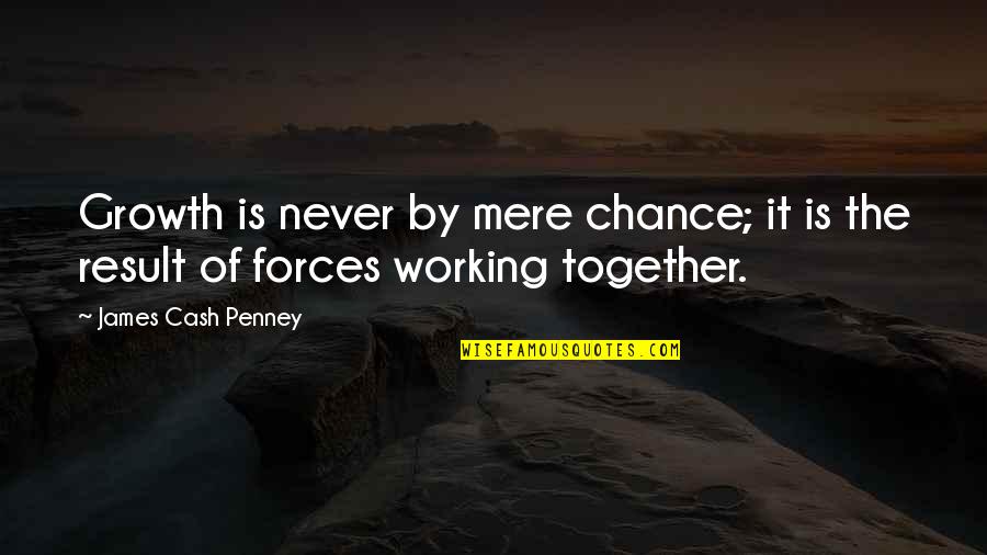 Never Not Working Quotes By James Cash Penney: Growth is never by mere chance; it is