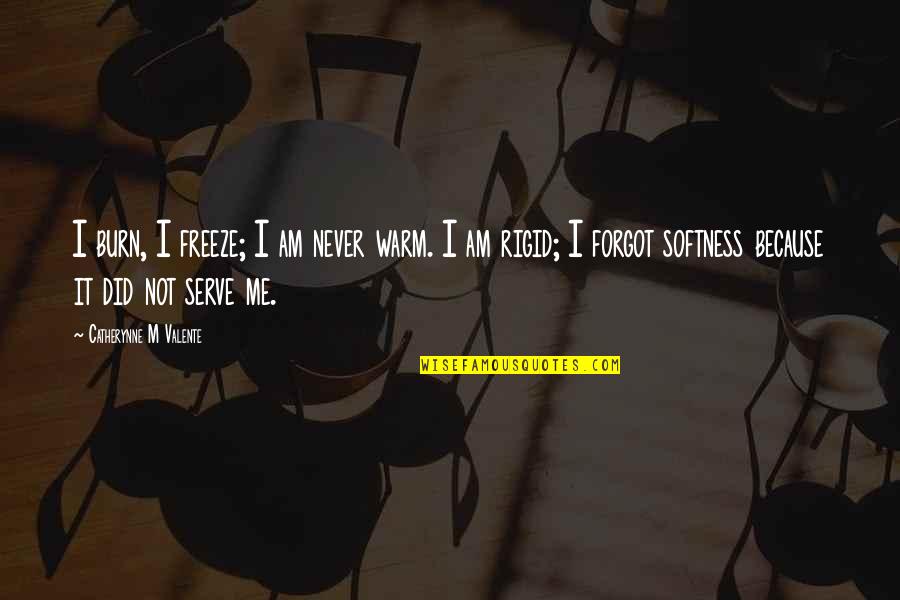 Never Reveal Your Secrets Quotes By Catherynne M Valente: I burn, I freeze; I am never warm.